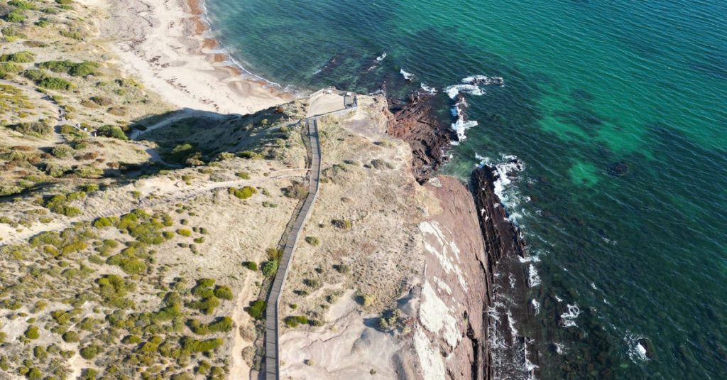 wordpress websites adelaide