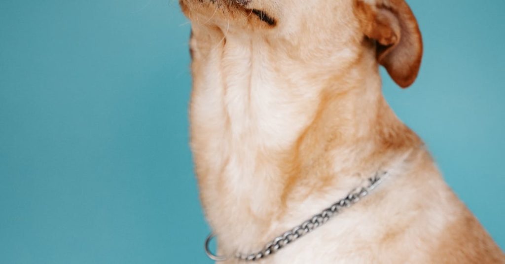 best cheap hosting for wordpress