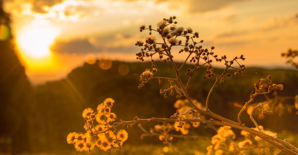 google cloud hosting wordpress