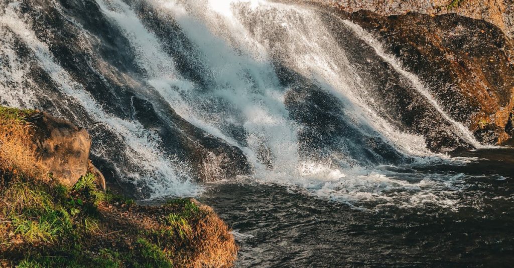 how to migrate a wordpress site to a new host