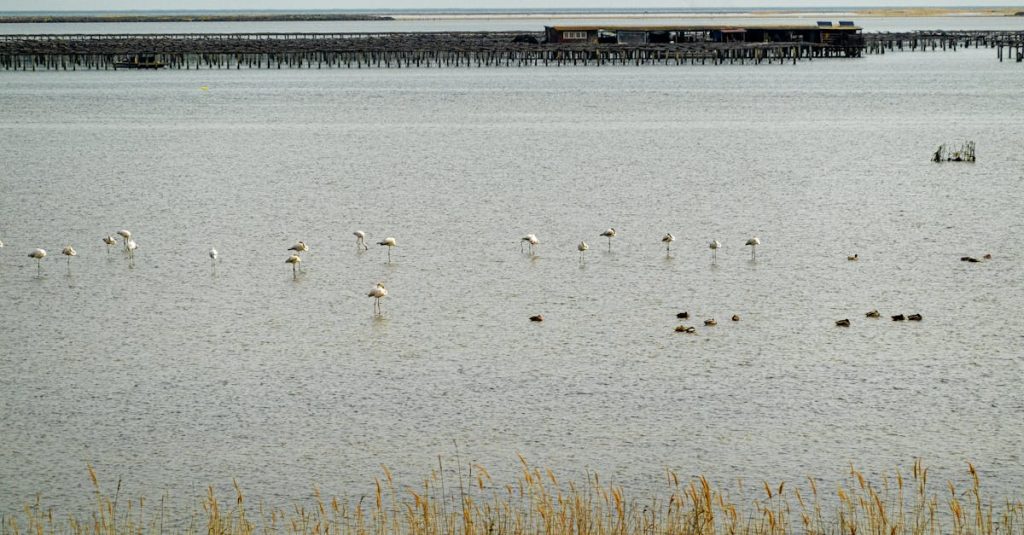 how to migrate wordpress