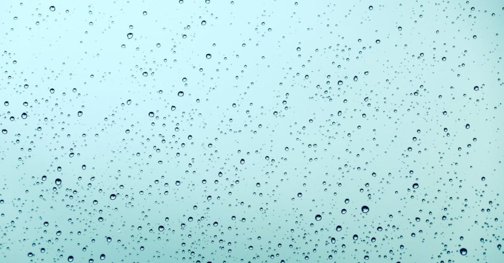 raleigh wordpress websites