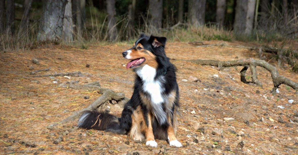 RETRIEVE WORDPRESS ROOT DIRECTORY PATH visual data 3