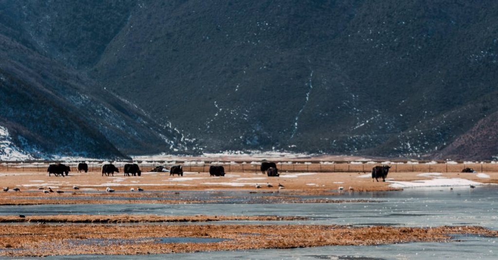 404 not found wordpress