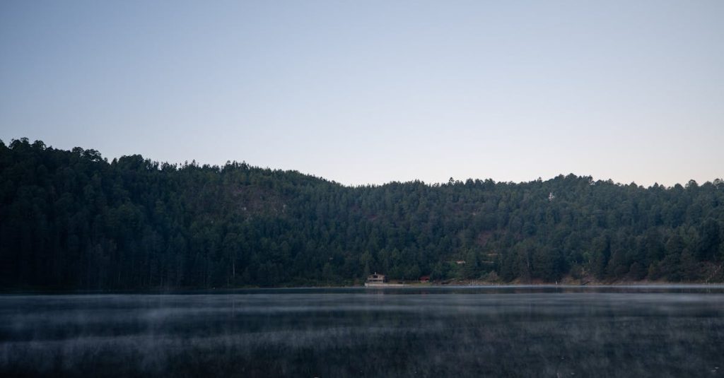 setup local wordpress environment