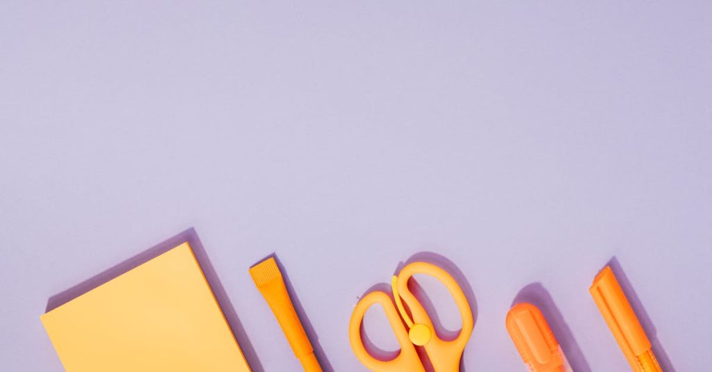 cheap wordpress themes