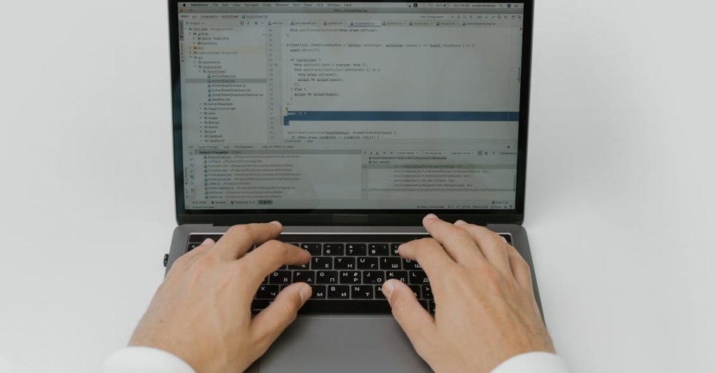 javascript in wordpress