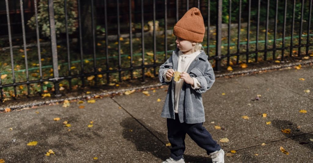 free chatbot for wordpress