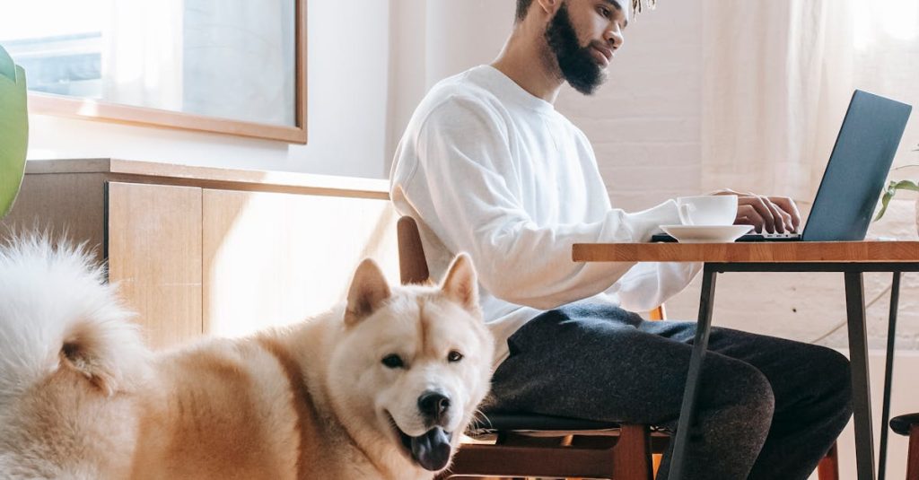 how to add social media icons to wordpress