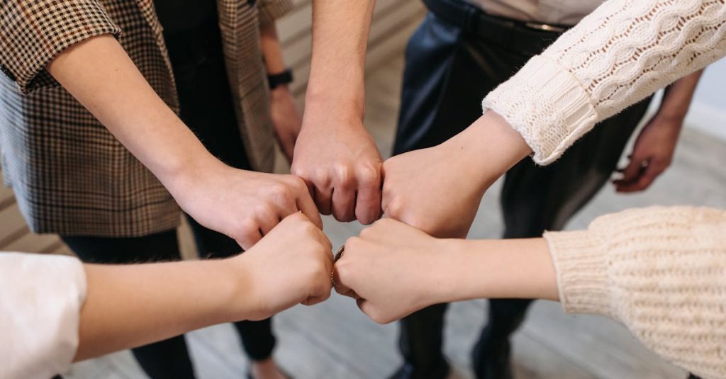 team member wordpress plugin