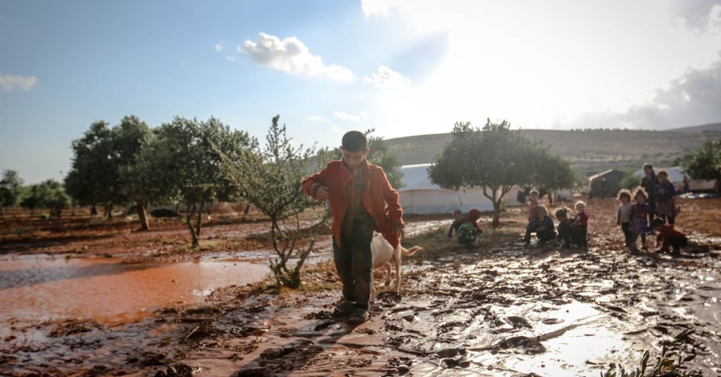 wordpress plugin vulnerability