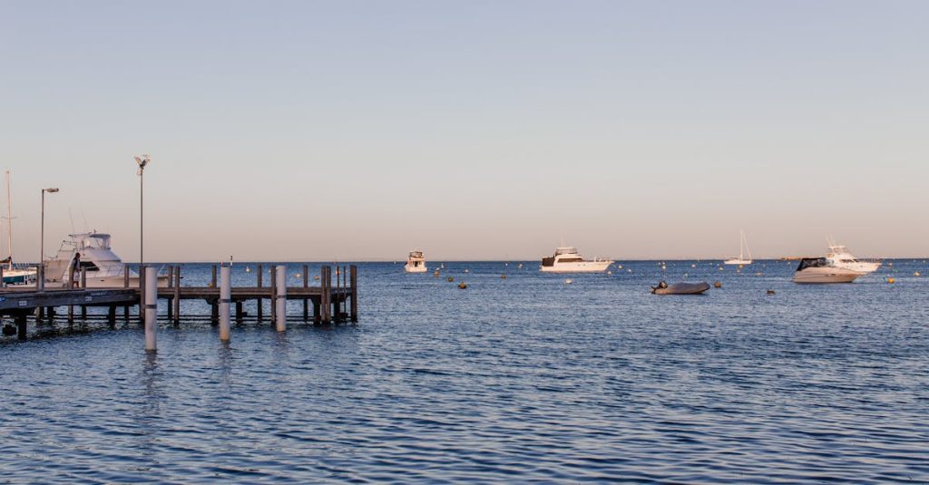 affiliate wordpress theme