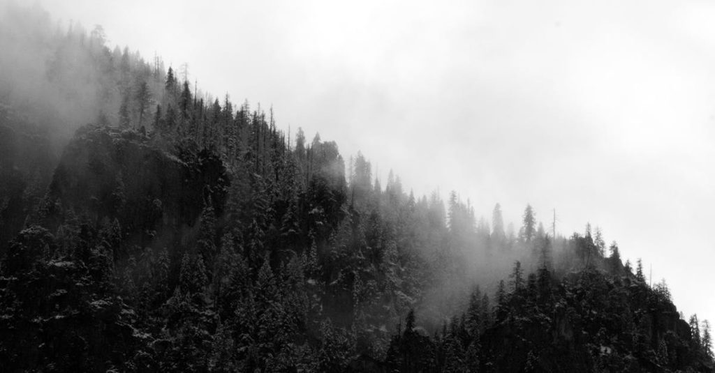 indexer site wordpress