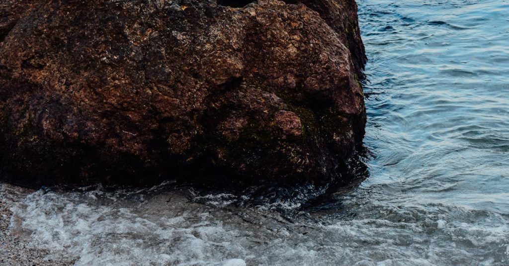 come velocizzare sito wordpress