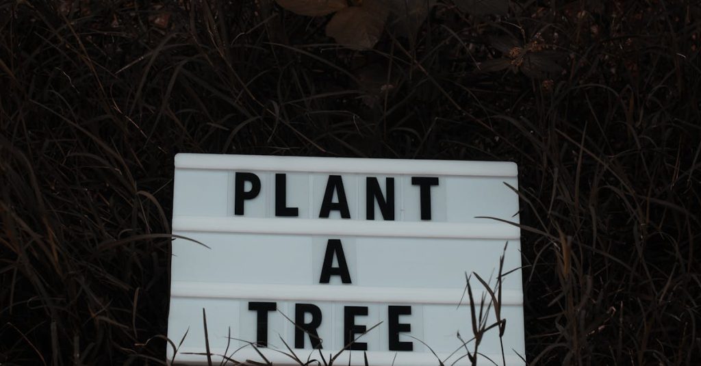 wordpress change font size