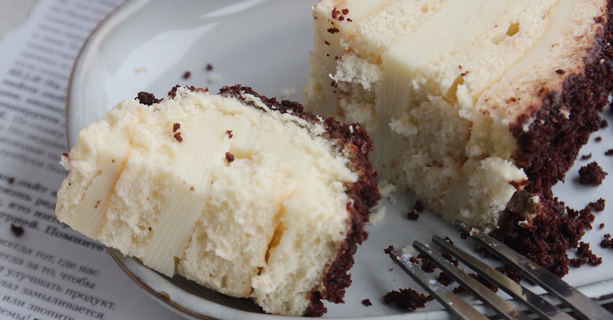 wordpress cost vs wix