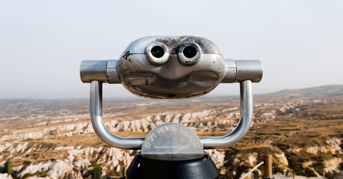 wordpress dating site