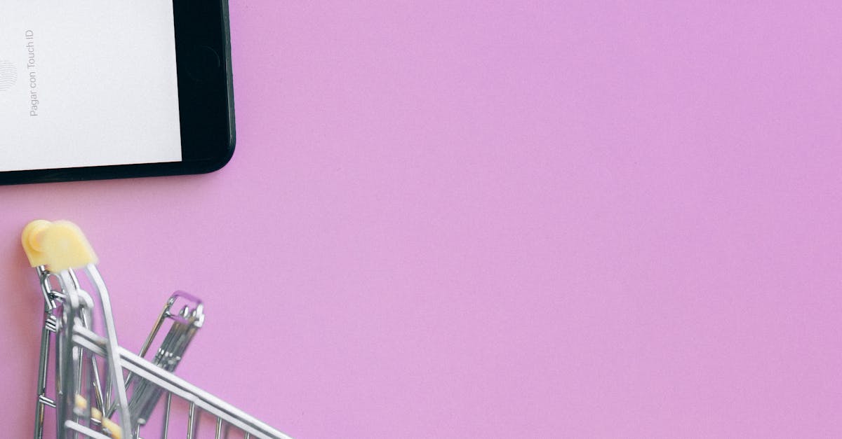 wordpress web design chicago